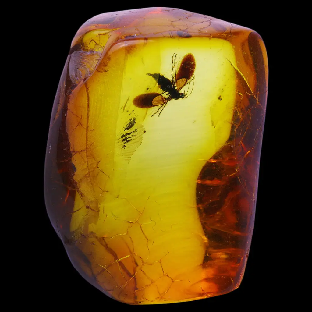 ILUSTRASI batu amber yang berasal dari fosil resin pohon purba yang kini dijadikan perhiasan.