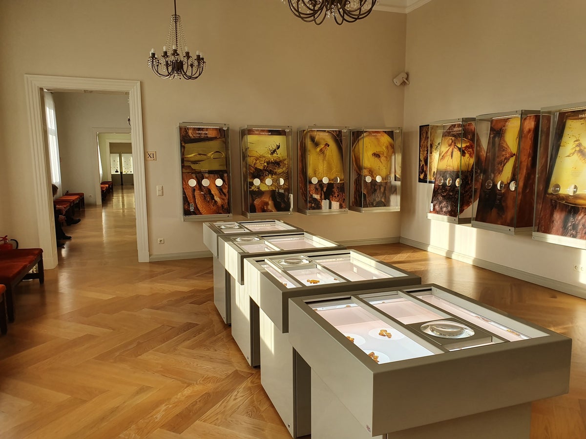 Aneka jenis amber baltik di Palanga Amber Museum, Lithuania.