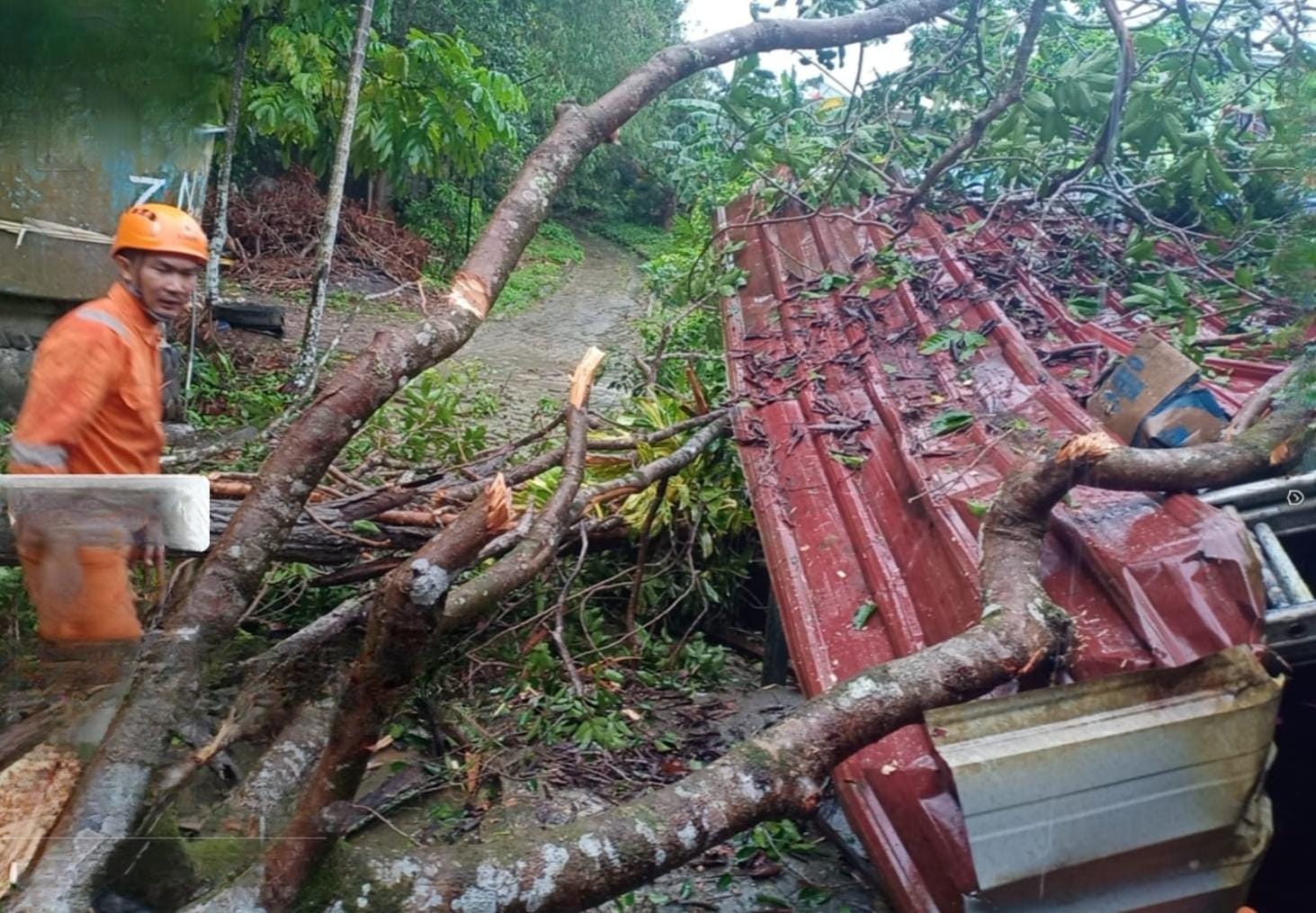 Petugas BPBD Tanjungpinang saat mengevakuasi pohon tumbang timpa atap garasi warga di Jalan Ir. Sutami, Selasa (2/9).