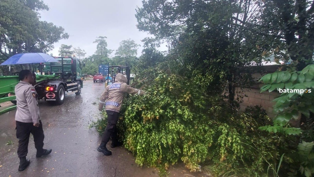 Polisi turun tangan setelah sejumlah pohon di kawasan Tanjung Sengkuang, Batuampar tumbang, Senin (1/9) pagi.