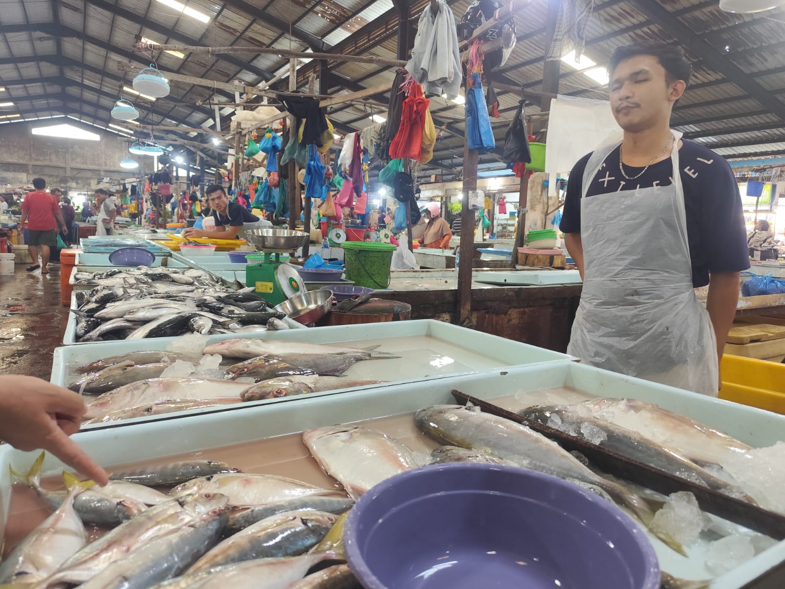 Pedagang ikan di Pasar Bincen Tanjungpinang, Senin (8/9).