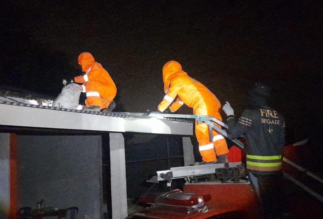 Petugas Damkar mengevakuasi sarang tawon vespa di jalan Indunsuri, Gang H Slamet,  Kelurahan Tanjunguban Selatan, Kecamatan Bintan Utara, Kamis (18/9/2025) malam.