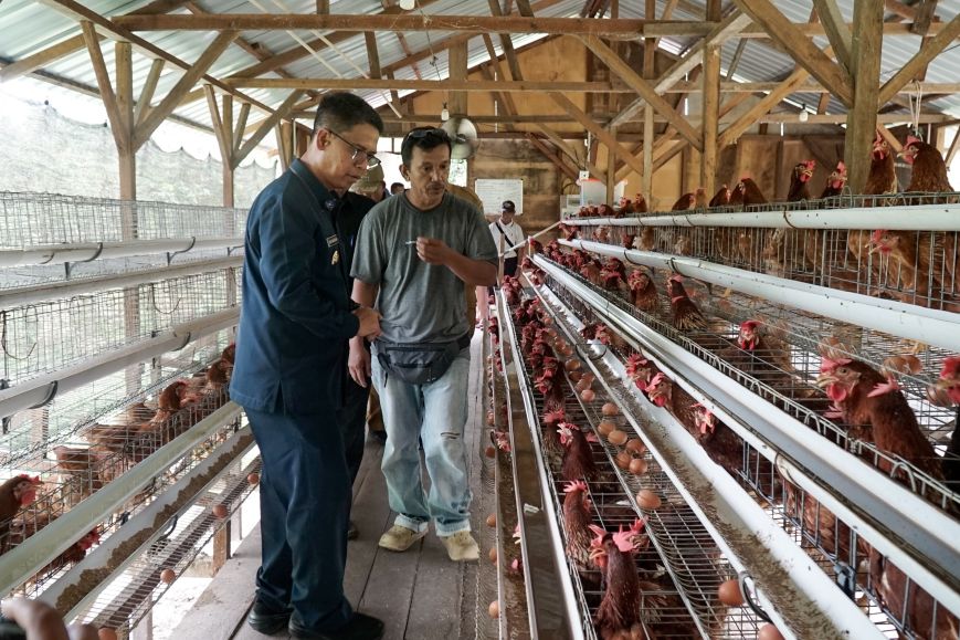 Bupati Karimun, Iskandarsyah meninjau peternakan ayam petelur milik BUMDes Desa Pongkar Jaya di Kecamatan Tebing.