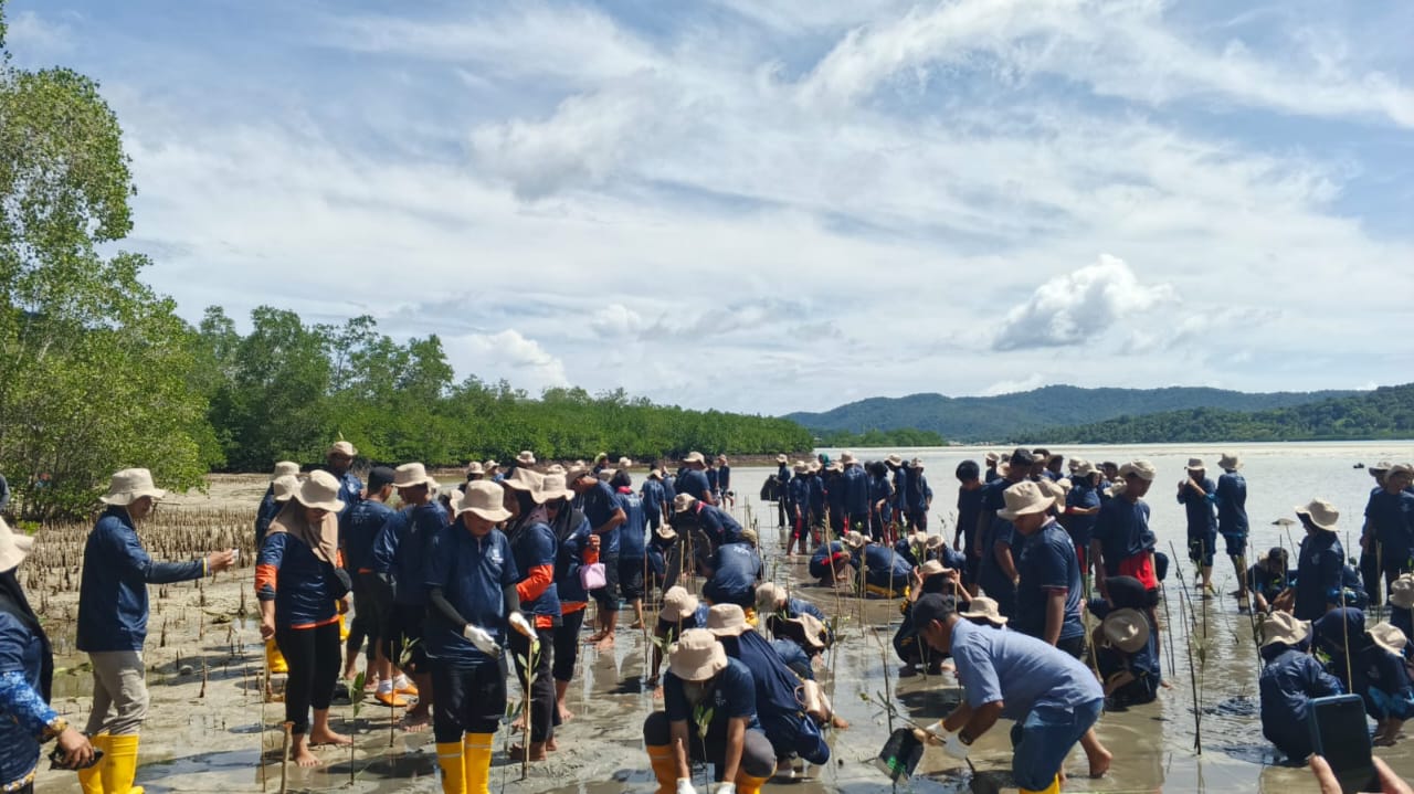 Ratusan pelajar di Kecamatan Palmatak antusias menanam bibit mangrove di Desa Putik.