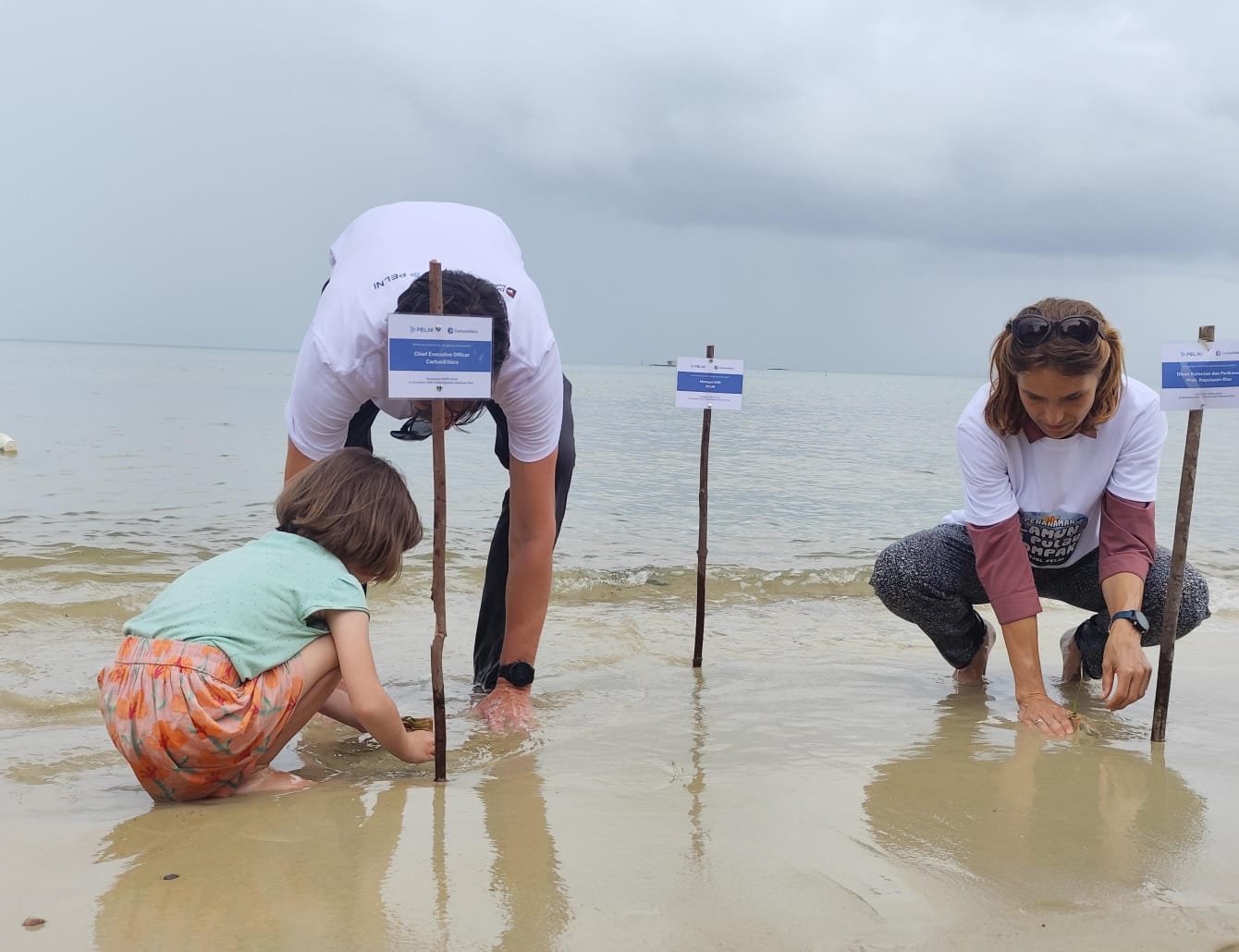 Volunteer asal belanda saat ikut menanam bibit lamun di pesisir Pantai Tanjung Siambang Tanjungpinang, Jumat (14/11).