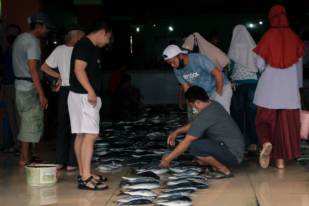 Sejumlah pedagang dan pembeli sedang beraktifitas dengan ikan tongkol yang dijajarkan di lantai Pasar.