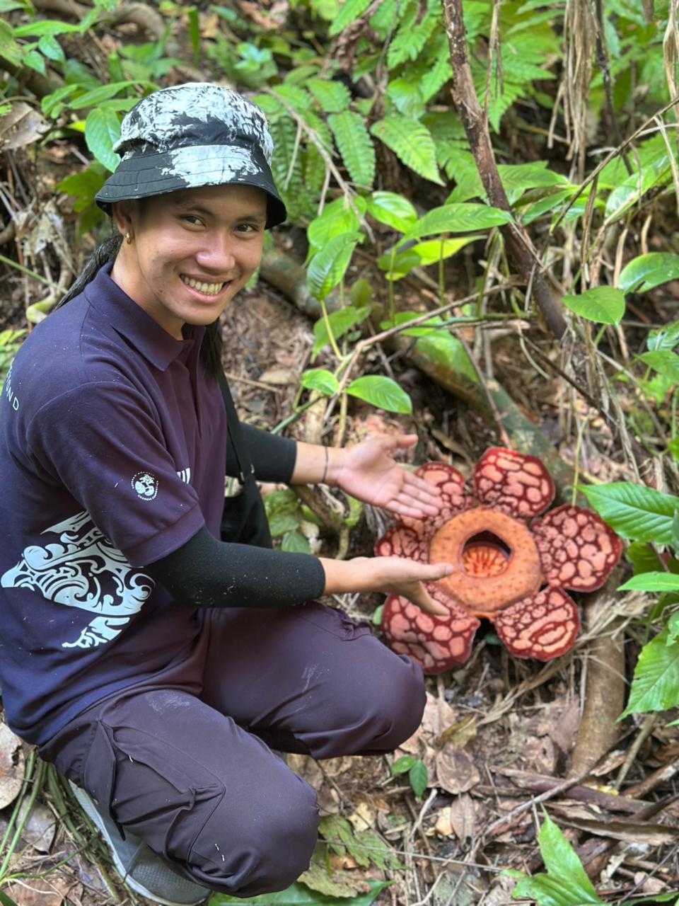 Petugas Anambas Foundation menunjukkan bunga Raflesia yang mekar pada Agustus silam.
