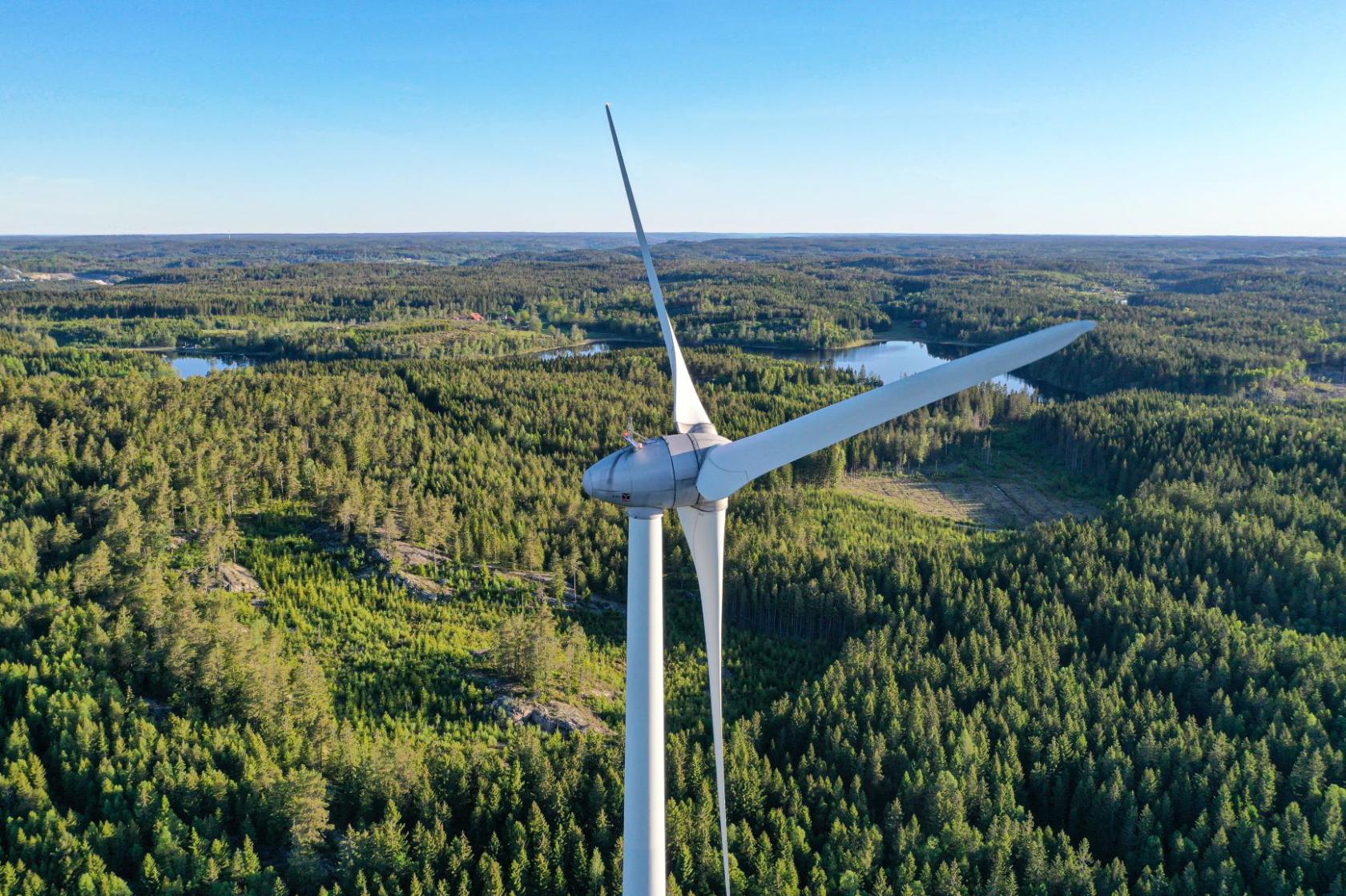 Norwegia menjadi negara pertama yang resmikan deforestasi.