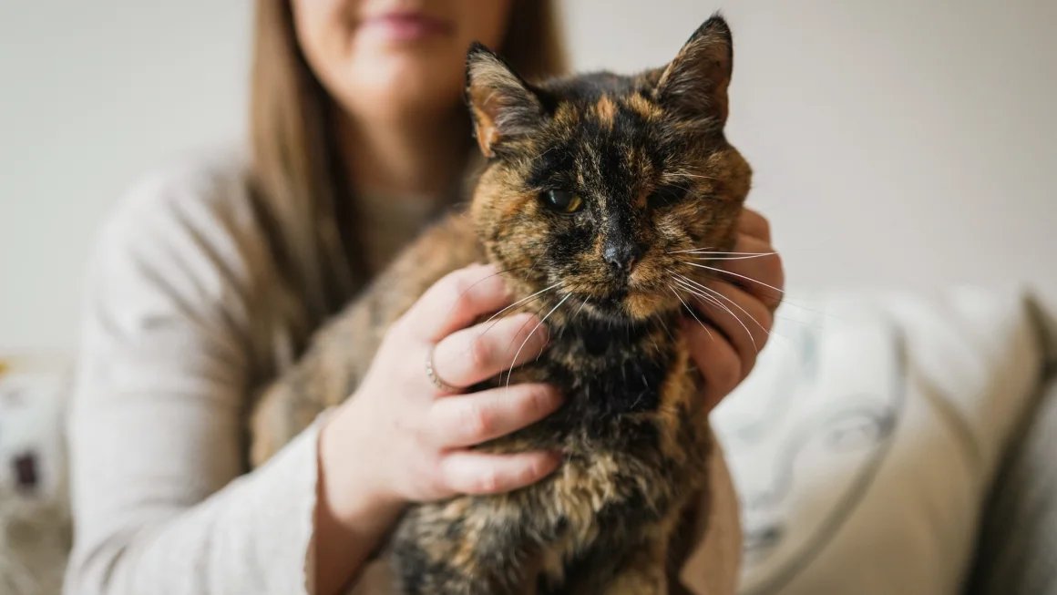 Flossie kucing dengan usia 30 tahun.