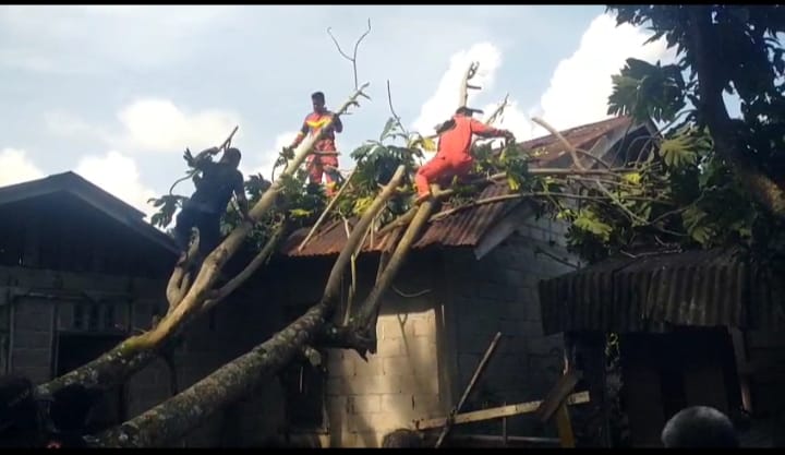 Petugas Damkar bersama BPBD dan personel Polsek Dabo saat mengevakuasi pohon tumbang yang menimpa rumah warga, Minggu (04/01). F. Istimewa
