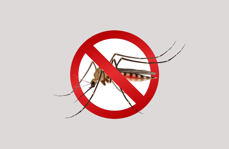 Ilustrasi nyamuk aedes aegypti. F. Freepik