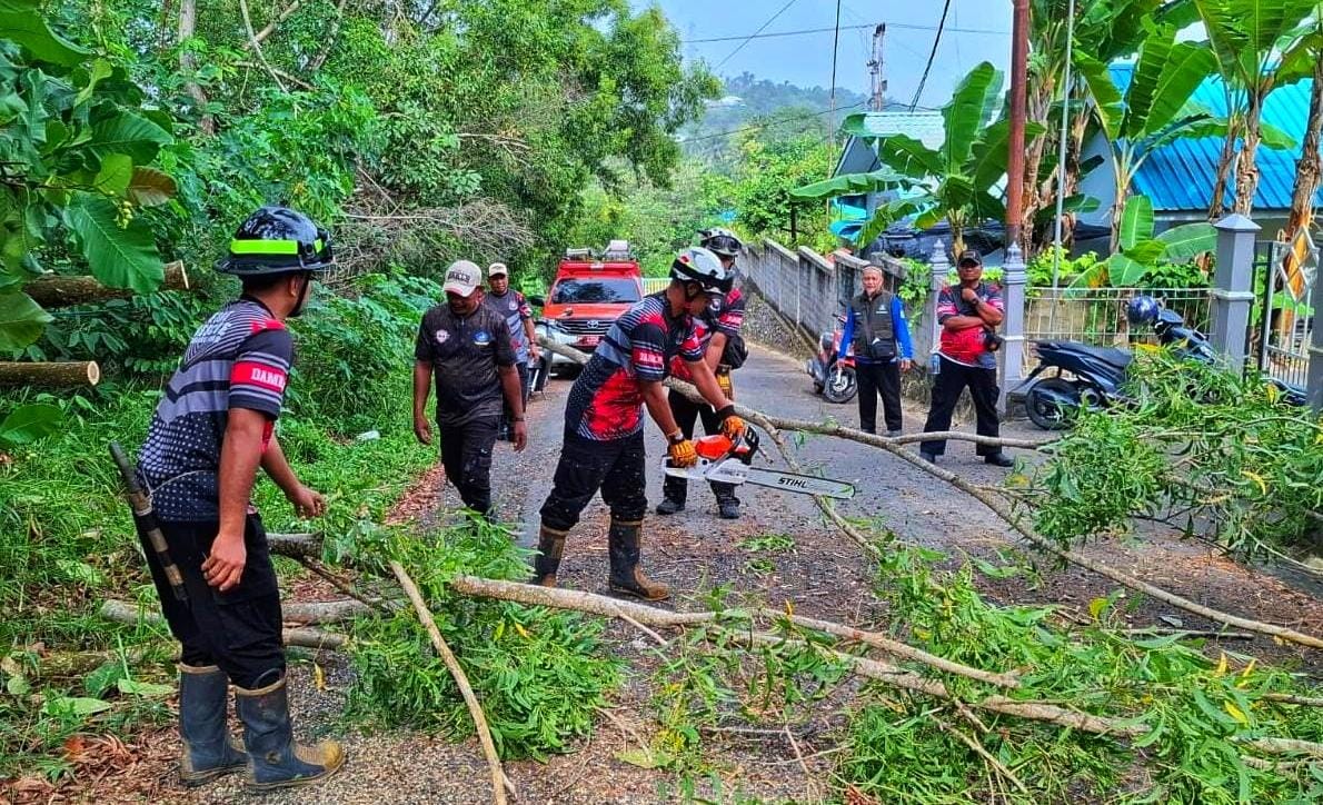 Petugas Damkar mengeksekusi pohon akasia yang tumbang hingga menutupi akses jalan ke Masjid Besar Baitul Makmur, Tanjunguban, Kamis (8/1/2026) siang. F. Damkar untuk Batam Pos