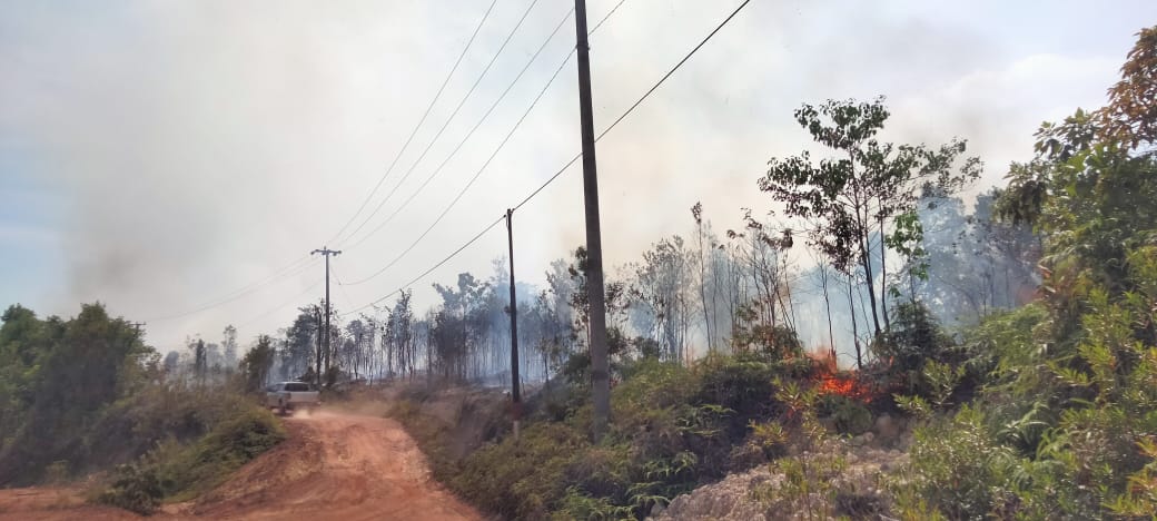 Kebakaran di kawasan Hutan Desa Tanjung Irat, Kecamatan Singkep Barat Kabupaten Lingga, Selasa (20/1). F. Yo untuk Batam Pos