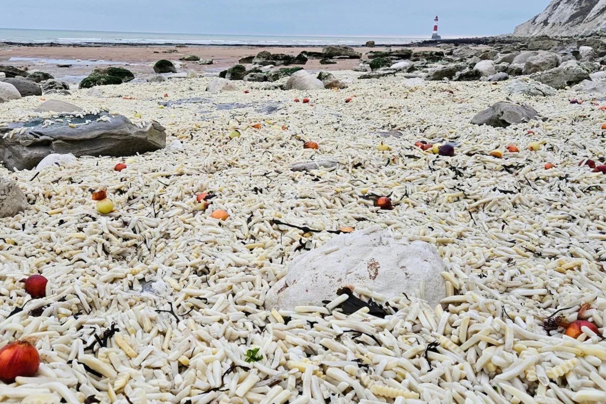 Pantai di Inggris dipenuhi produk kentang goreng beku.