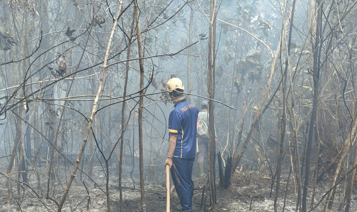 DUA petugas Damkar mencoba memadamkan api di Hutan Sungai Lumpur, Lingga, Jumat (23/1/2026). F Vatawari/Batam Pos