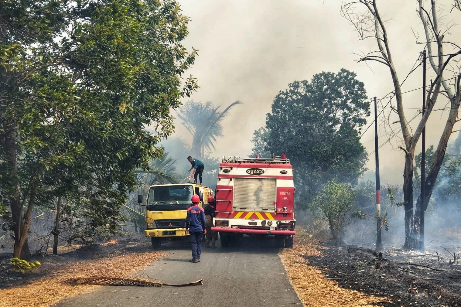 PETUGAS Damkar berusaha memadamkan kebakaran lahan di Desa Teluk Bakau, Kecamatan Gunung Kijang, Jumat (23/1/2026). F.BPBD Bintan untuk Batam Pos.