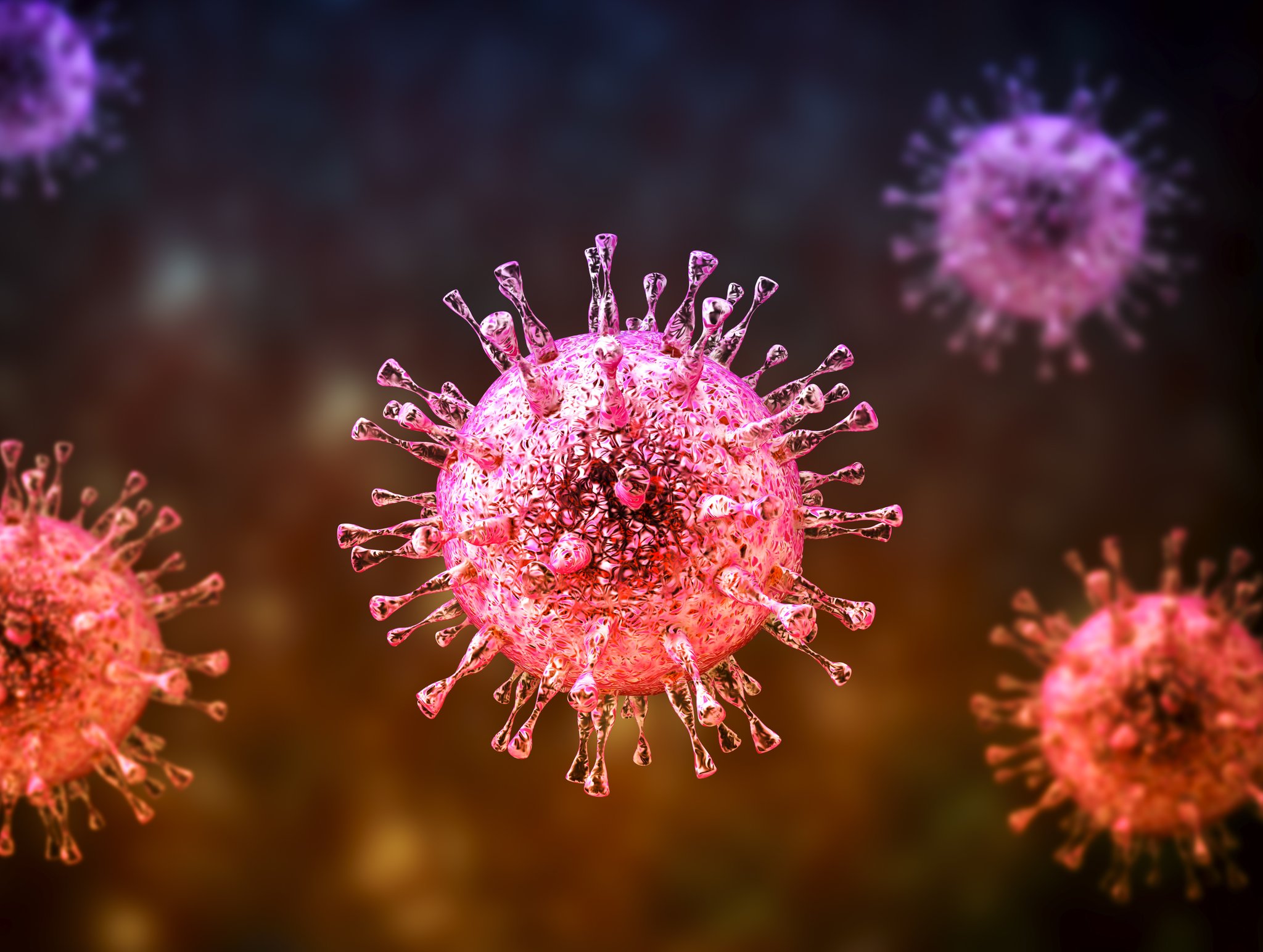 Virus Nipah sedang menjadi sorotan.