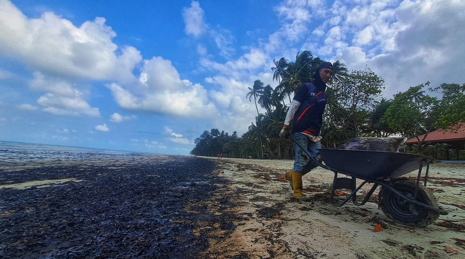 PEKERJA Mutiara Beach Resort mengangkut tumpukan limbah minyak hitam yang mencemari pesisir pantai Mutiara di Trikora Km 55, Desa Malang Rapat, Kecamatan Gunung Kijang, Bintan, pada Kamis (29/1/2026)