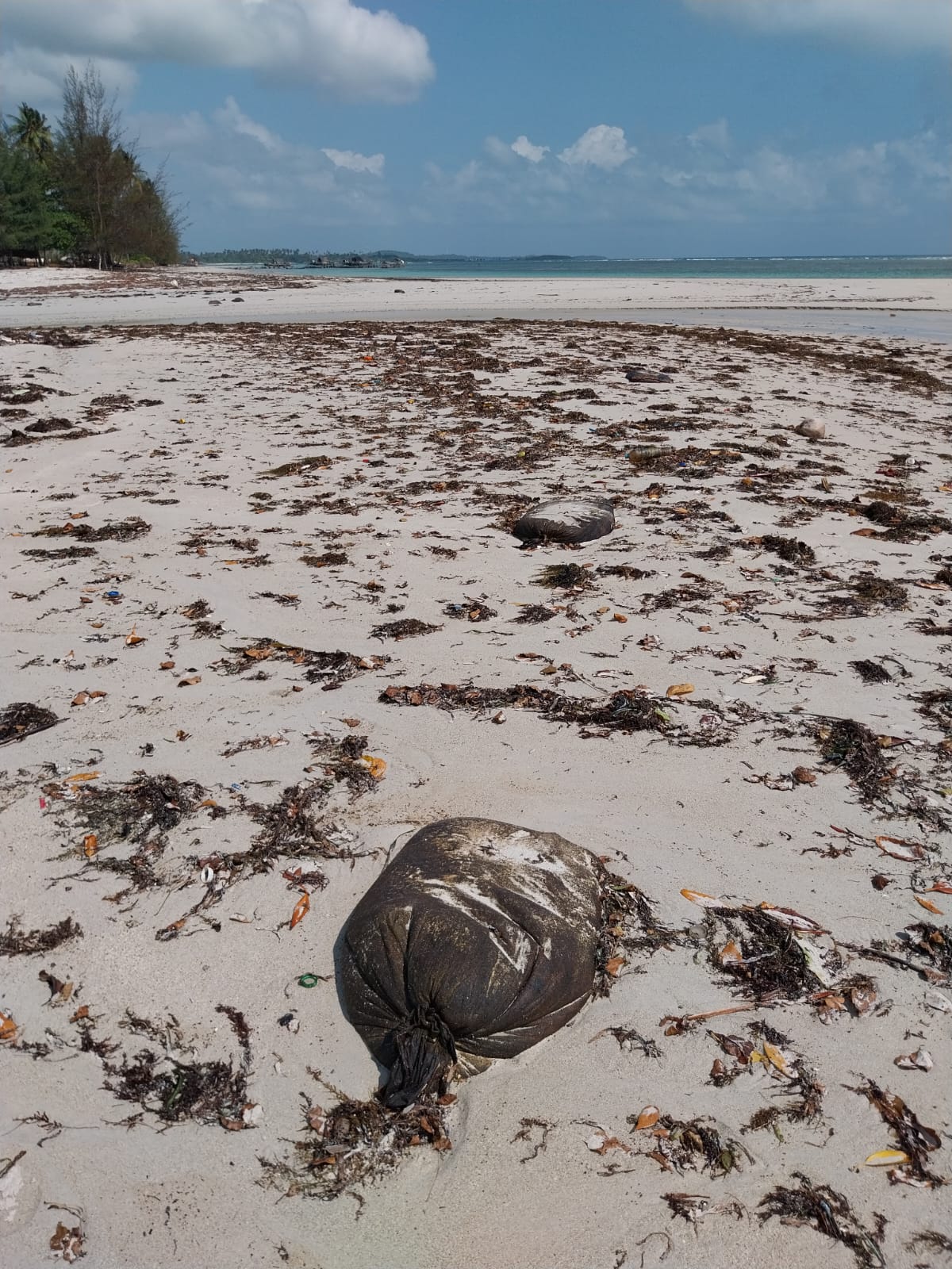 KARUNG berisikan minyak hitam terdampar di Pantai Trikora 4, Bintan. F.Rizal untuk Batam Pos.