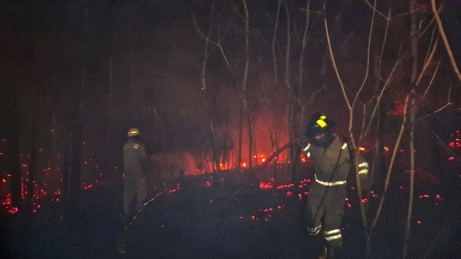 PETUGAS Damkar memadamkan api di lahan yang terbakar di jalan raya Tanjungpinang - Tanjunguban, Rabu (4/2/2026) malam. F.Damkar untuk Batam Pos.