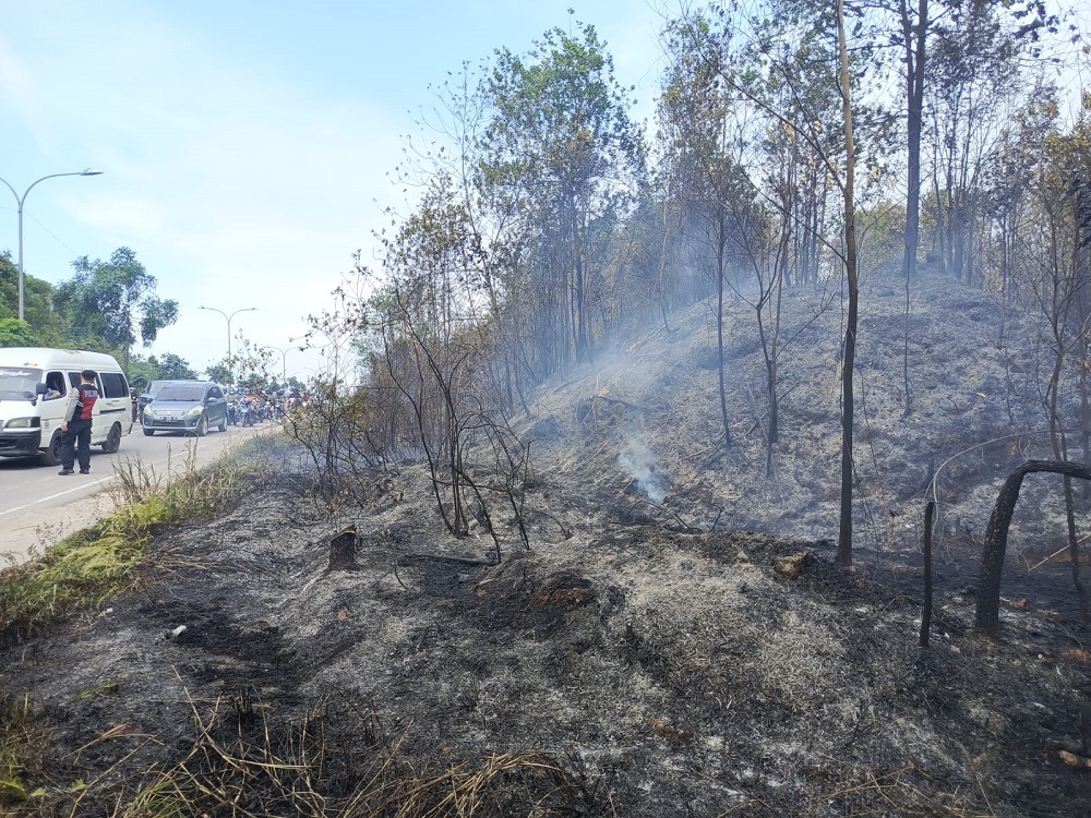 Ilustrasi kebakaran di hutam Dam Mukakuning, Rabu (4/2). F. Eusebius Sara/Batam Pos