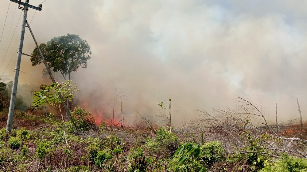 Kebakaran lahan perkebunan milik warga yang hangus terbakar seluat 15 Hektar di wilayah Singkep Barat beberapa waktu lalu. F. Ikmal untuk Batam Pos