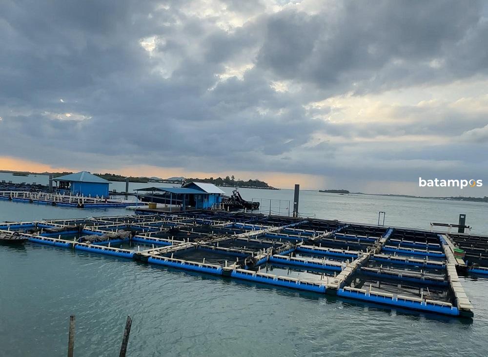 Balai Perikanan Budidaya Laut (BPBDL) Batam di Jembatan III Barelang. F. Yofi Yuhendri/Batam Pos