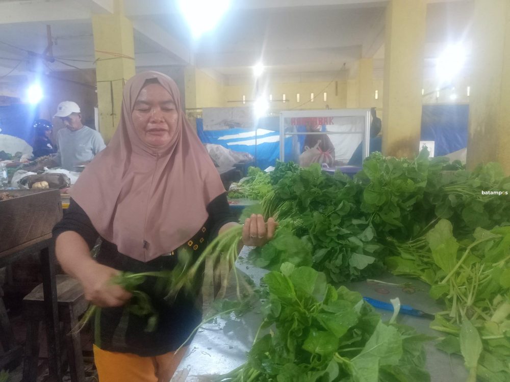 Seorang pedagang membersihkan sayuran di Pasar Tradisional Dabo Singkep, Kamis (12/2). Meski harga sejumlah kebutuhan pokok mulai turun, daya beli masyarakat masih terpantau lemah. F. Vatawari/Batam P