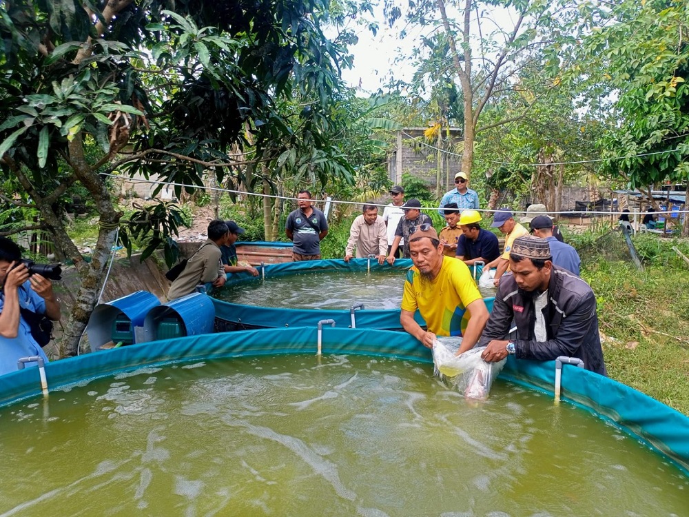 Budidaya ikan air tawar menggunakan metode bioflok di Batam. Produksi ikan air tawar di Kota Batam menunjukkan capaian signifikan hingga mencapai kisaran 10 ton. F. Dok. Batam Pos