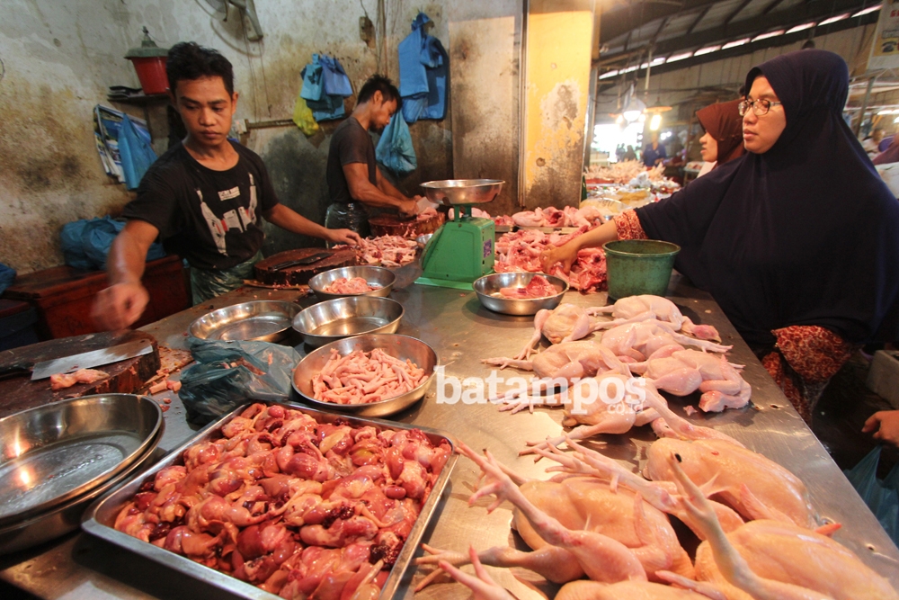 Ilustrasi penjual daging ayam. F.Cecep Mulyana