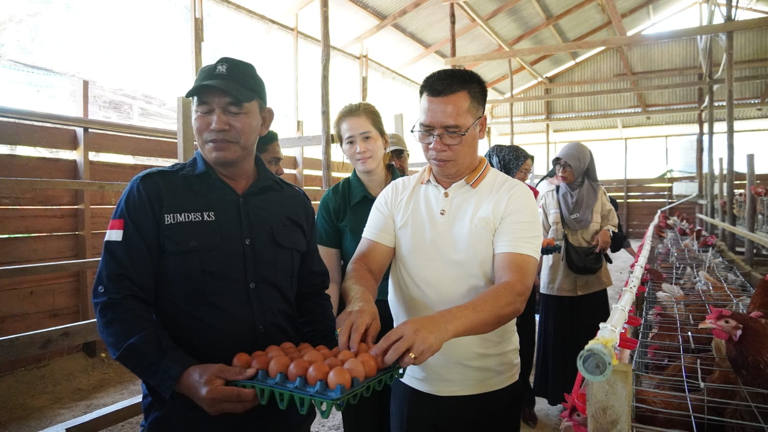 Bupati Kepulauan Anambas, Aneng didampingi istri, Sinta memanen langsung telur ayam di Desa Kuala Maras. F Diskominfo Anambas untuk Batam Pos