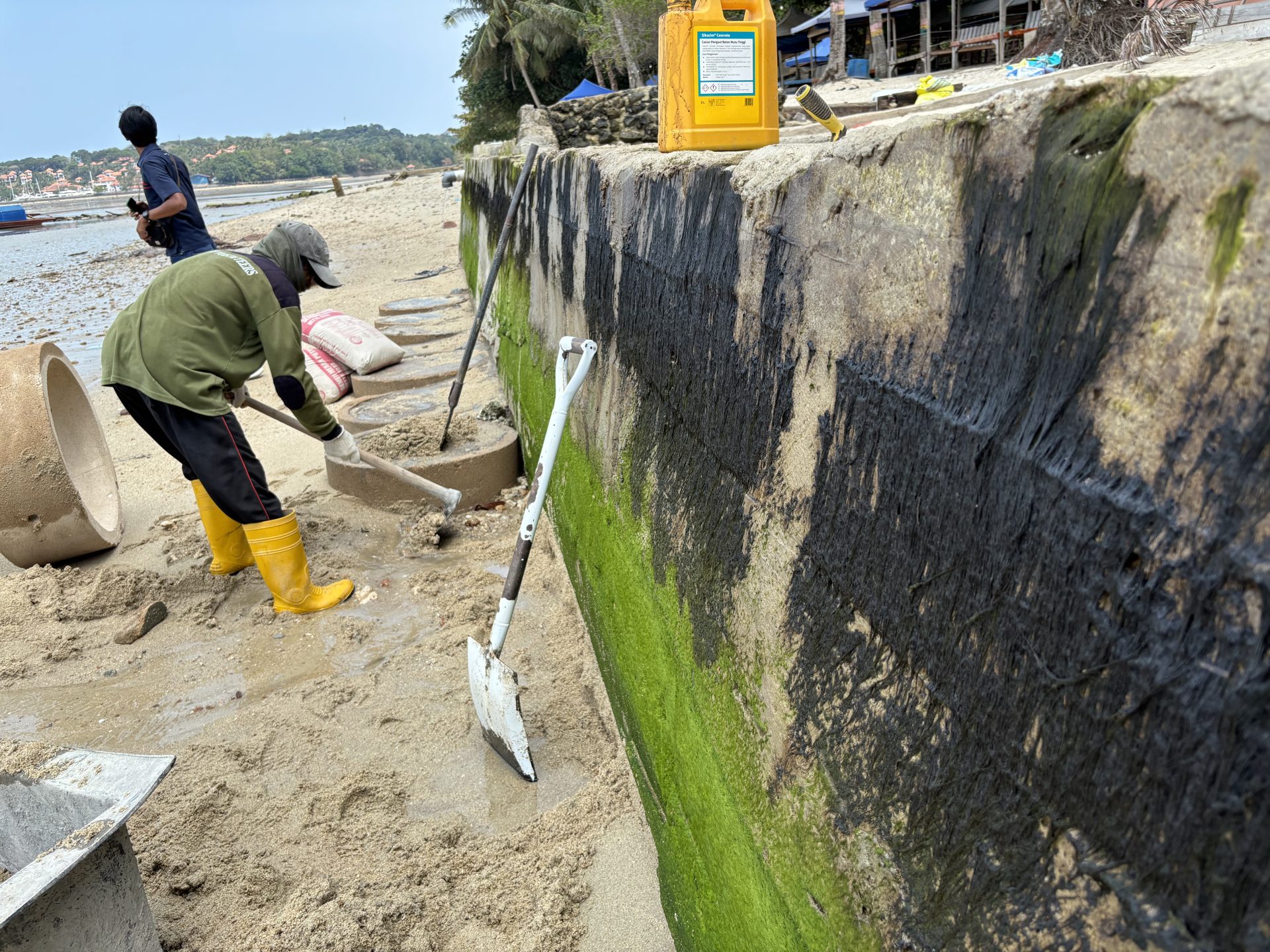 Bibir pantai di nongsa tercemar dan berbau. f Istimewa