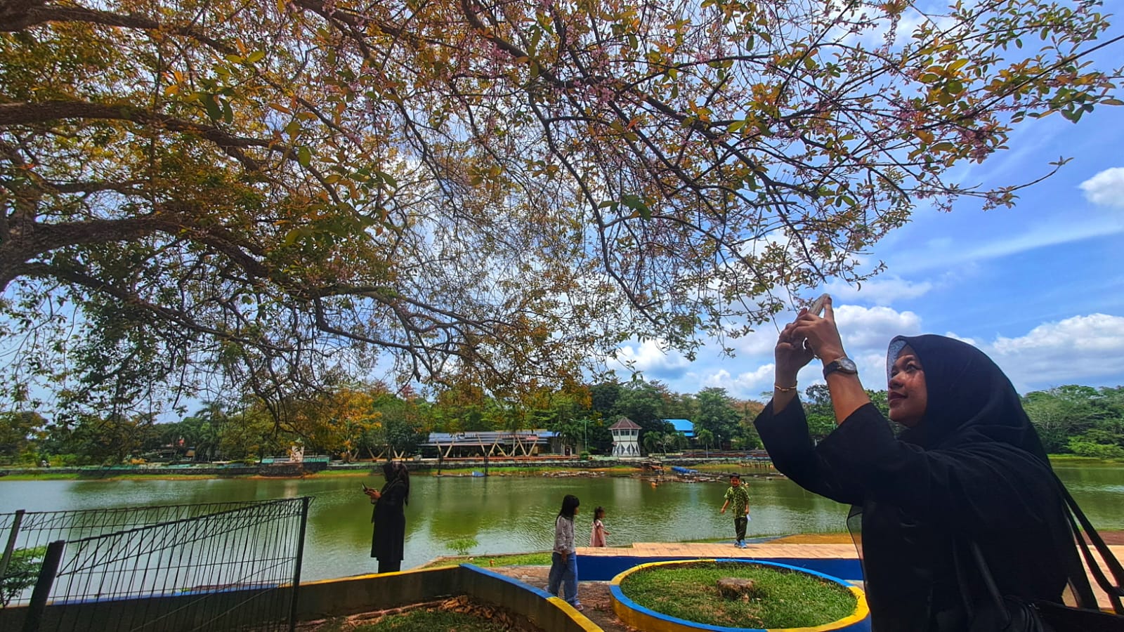 Mieke, salah satu wisatawan asal Tanjungpinang mengabadikan momen Bunga Sakura yang sedang mekar di Taman Kota Kijang, Kecamatan Bintan Timur, Jumat (6/3/2026). F.Slamet Nofasusanto/Batam Pos