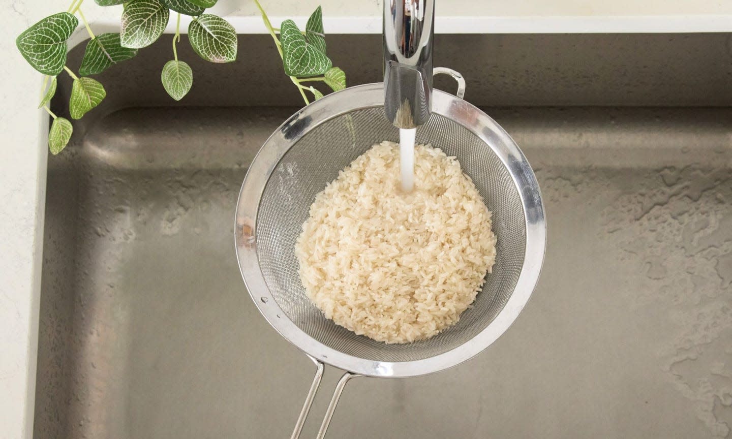 ILUSTRASI mencuci beras sebelum dimasak. F Mike Garten/Good Housekeeping Mag