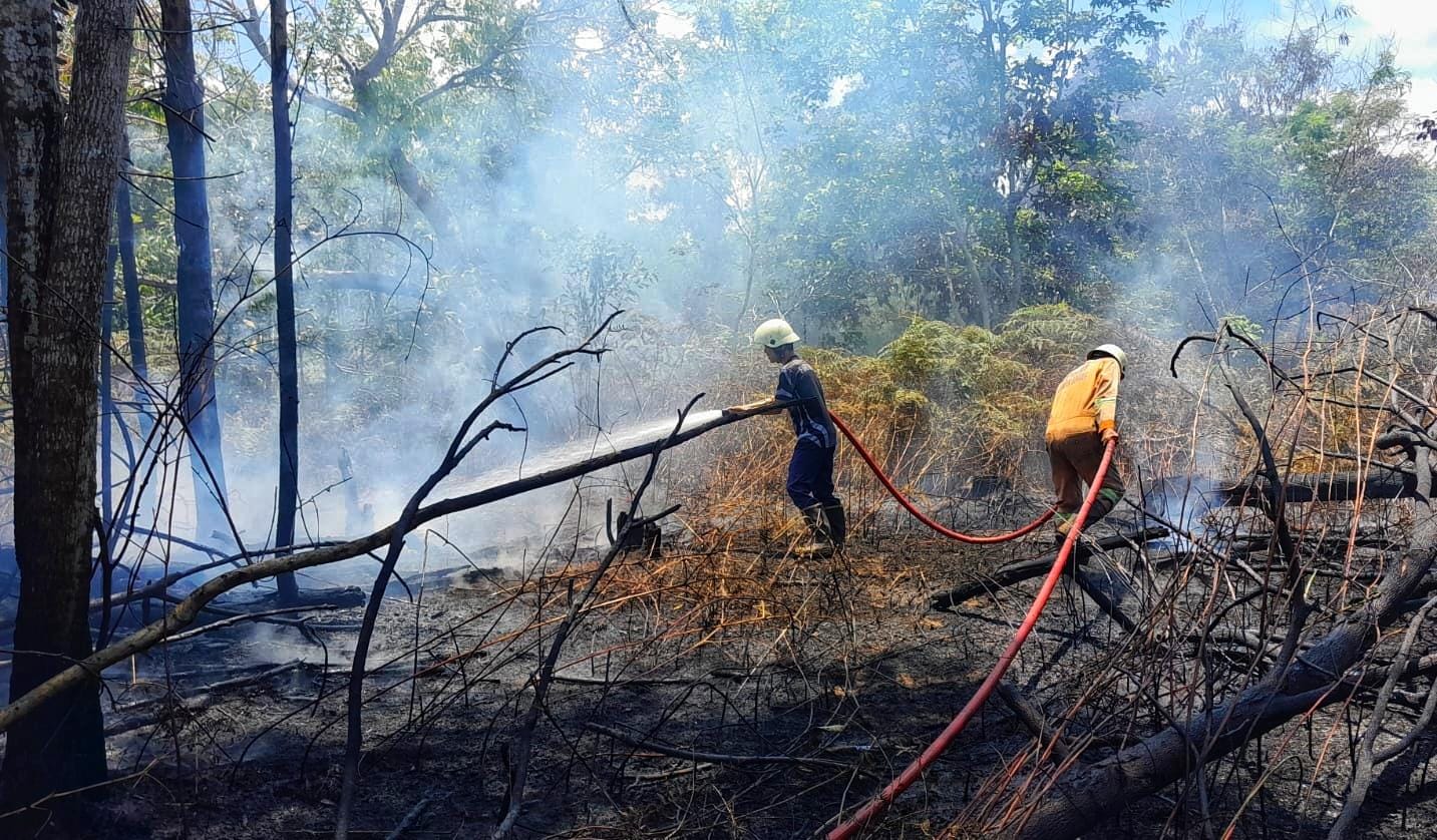 Pemadam berupaya memadamkan api di lahan terbakar di jalan H. Parengrenge, Tanjunguban, Kecamatan Bintan Utara, Selasa (17/3/2026). F.Damkar Tanjunguban untuk Batam Pos