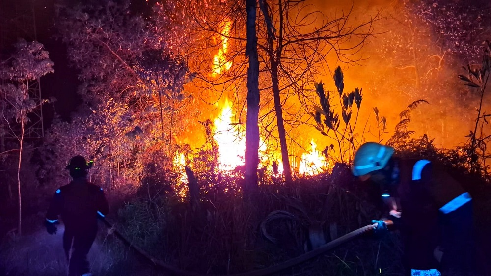 Petugas Damkar berusaha memadamkan api di Desa Lancang Kuning, Kecamatan Bintan Utara, Senin (23/3/2026) malam. F. Damkar Tanjunguban untuk Batam Pos