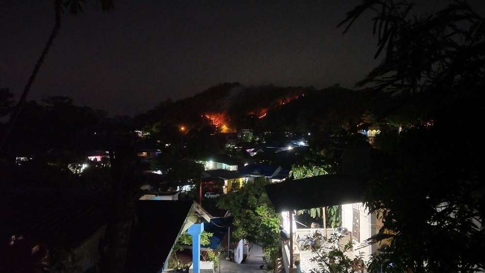 Kebakaran di TPS Tanjung Riau Batam dengan asap tebal dan petugas memadamkan api di lokasi. F. Istimewa