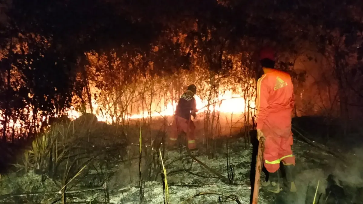 PETUGAS Damkar sedang melakukan pemadaman kebakaran lahan di Pulau Karimun. F Istimewa