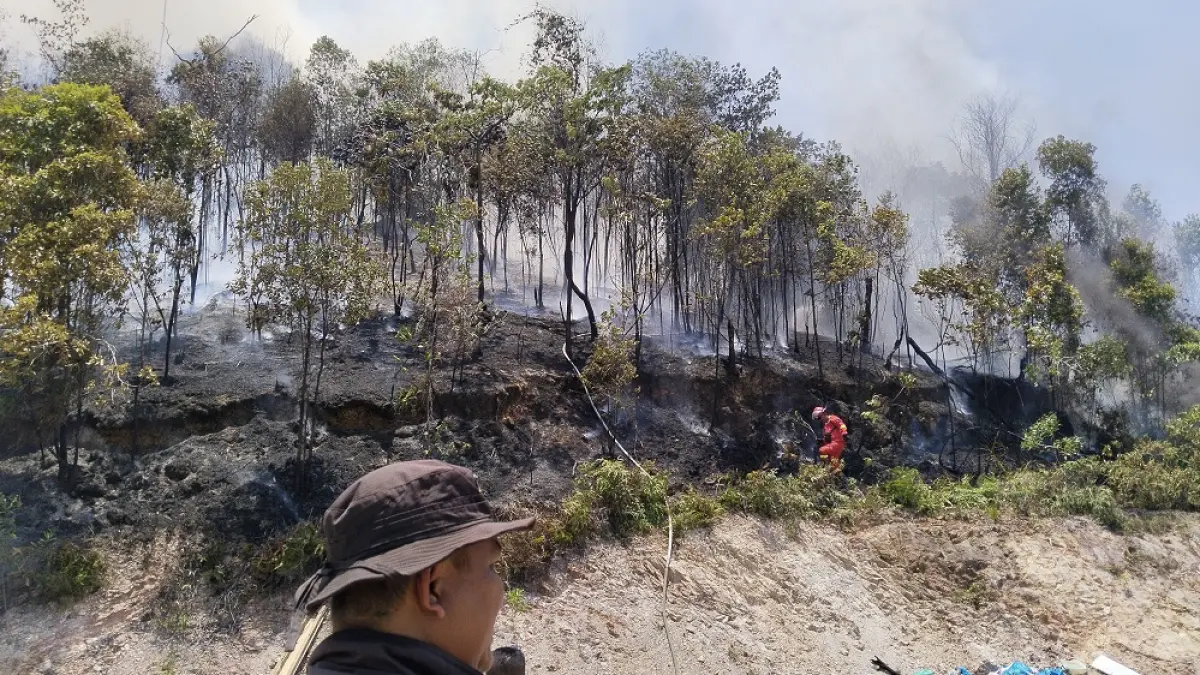 Petugas memadamkan kebakaran lahan di Tanjung Riau, Sekupang, Batam. Kebakaran meningkat selama musim kemarau. F. Istimewa