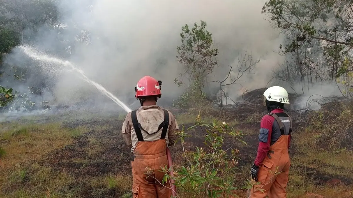 Petugas DPKP Tanjungpinang memadamkan api yang membakar lahan di Kecamatan Tanjungpinang Timur beberapa waktu lalu. F. Mohamad Ismail/Batam Pos