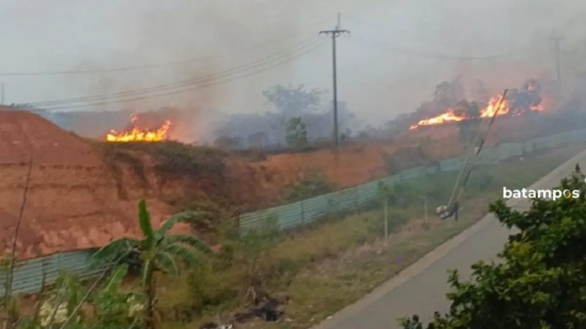 Ilustrasi kebakaran hutan dan lahan di Kota Batam.
