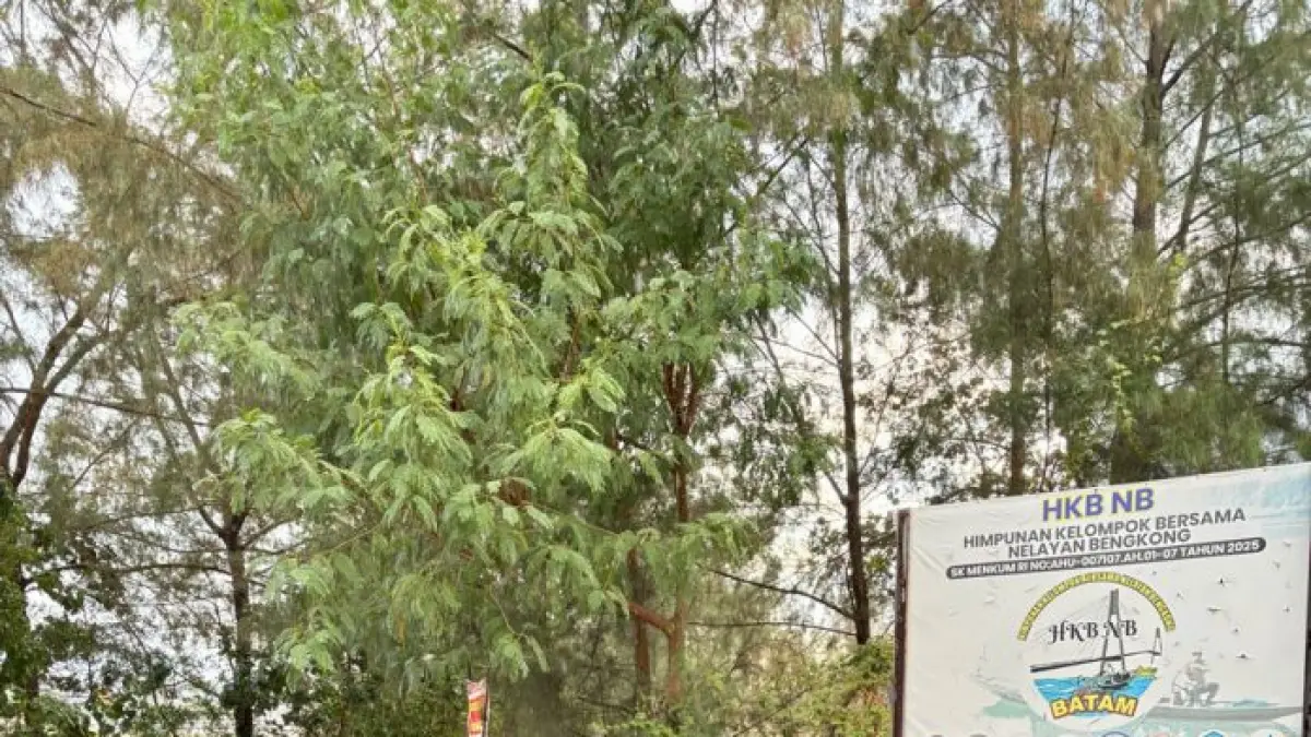  Manajemen hotel membeli langsung hasil tangkapan nelayan Bengkong.