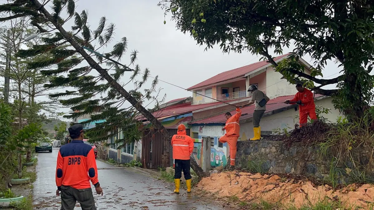 BPBD Tanjungpinang saat melakukan evakuasi pohon tumbang di kawasan Pantai Impian Tanjungpinang, Selasa (7/4). F. Mohamad Ismail/Batam Pos