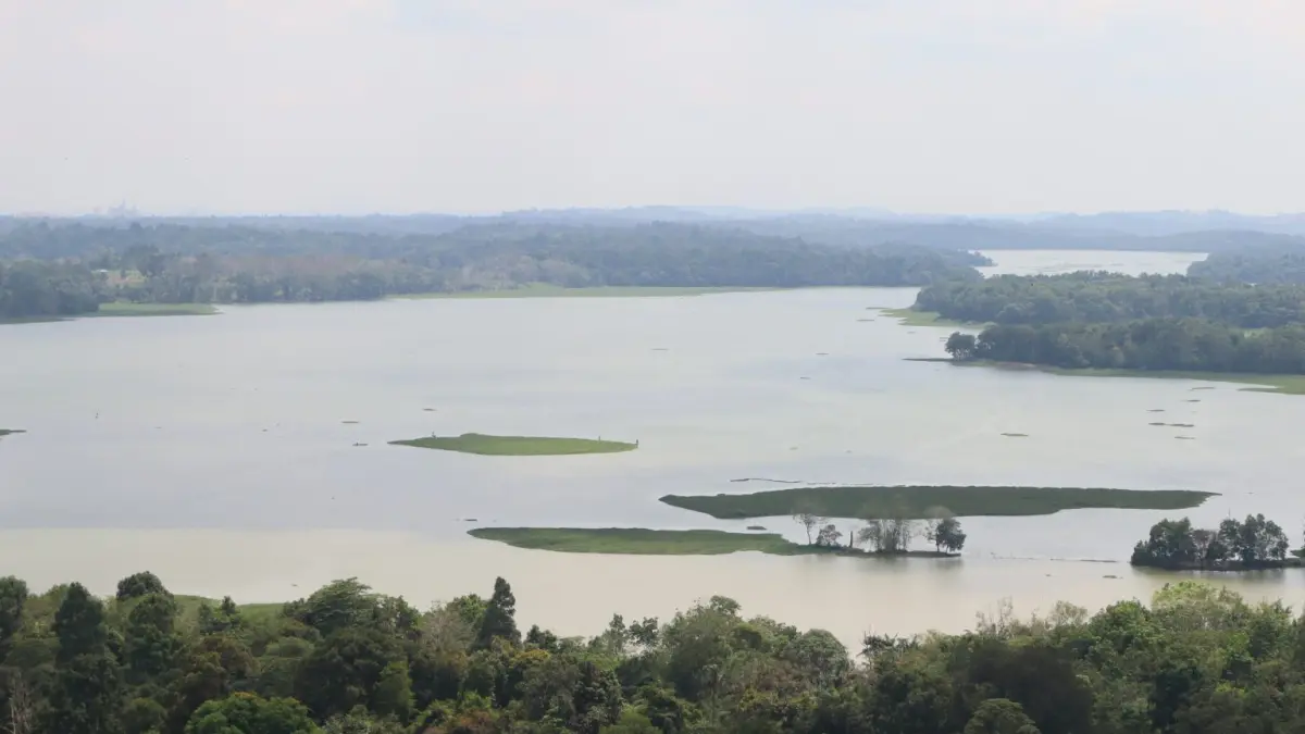 Waduk Duriangkang, Badan Pengusahaan (BP) Batam pekan lalu melaporkan bahwa debit air di beberapa waduk mengalami penyusutan rata-rata 2 hingga 3 sentimeter per hari. Penurunan itu terjadi akibat minimnya curah hujan dalam beberapa pekan terakhir. Foto. Cecep Mulyana/ Batam Pos