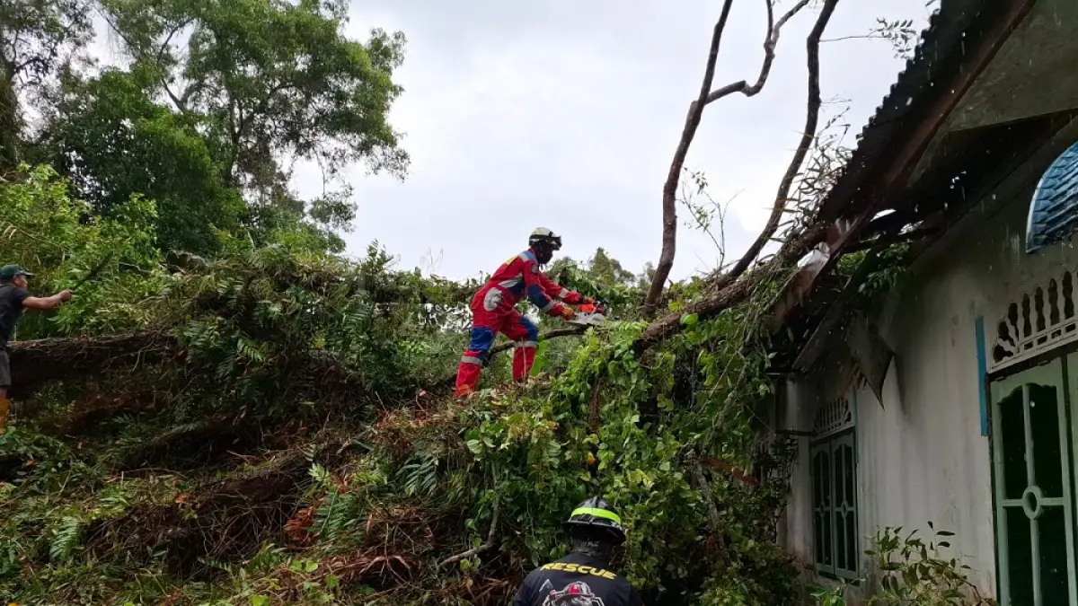 Petugas Damkar Tanjunguban membersihkan pohon tumbang yang menimpa rumah warga di Jalan Patimura, Kampung Paya Lebar, Tanjunguban, Selasa (7/4/2026). F. BPBD Bintan untuk Batam Pos