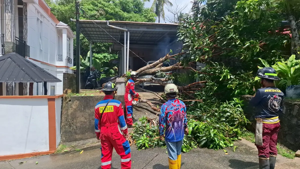 Pohon tumbang timpa kanopi teras rumah warga di Perumahan PBI, Kampung Baru, Tanjunguban, Kecamatan Bintan Utara, pada Senin (13/4/2026) siang. F.Damkar Tanjunguban untuk Batam Pos