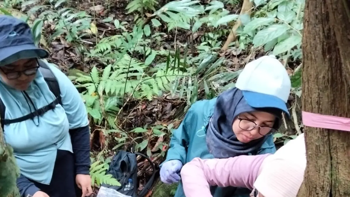 TIM peneliti IPB saat mengambil sampel bunga rafflesia di Anambas, Jumat (24/4/2026). F Ihsan Imaduddin/Batam Pos