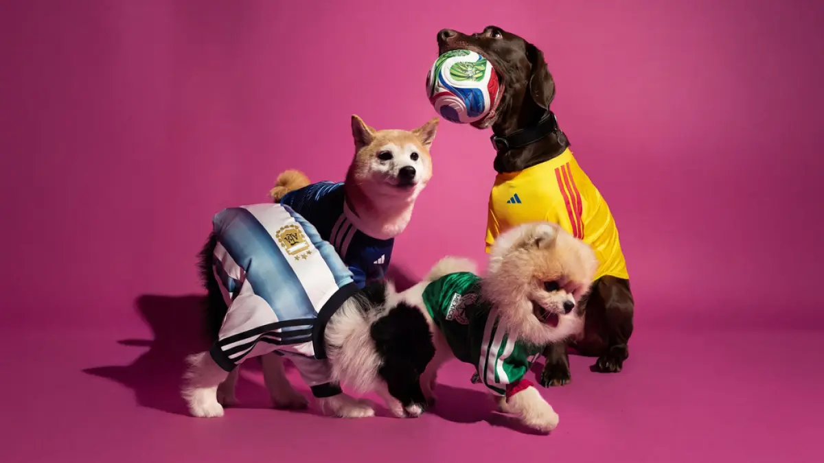 Adidas merilis jersey untuk hewan peliharaan menjelang World Cup 2026. (x.com/yourboydeluxe)