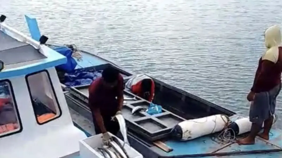 Nelayan mengoperasikan kapal di kawasan Rempang untuk menangkap ikan yang kemudian ditampung koperasi guna dipasarkan di Batam dan sekitarnya.   F. ANtara