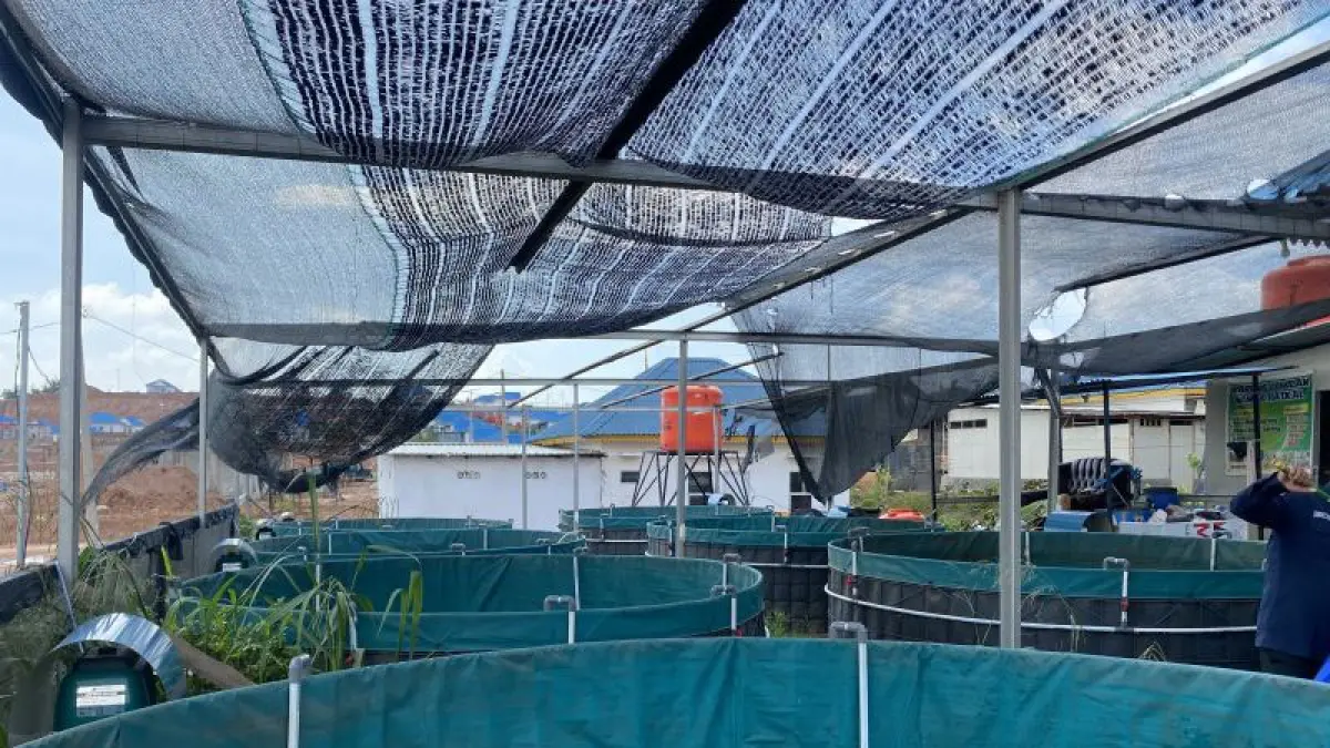  Bantuan beberapa kolam terpal untuk budidaya ikan dengan sistem bioflok di Rempang Eco City Kota Batam, Kepri, Selasa (5/5/2026). (ANTARA/Amandine Nadja)
